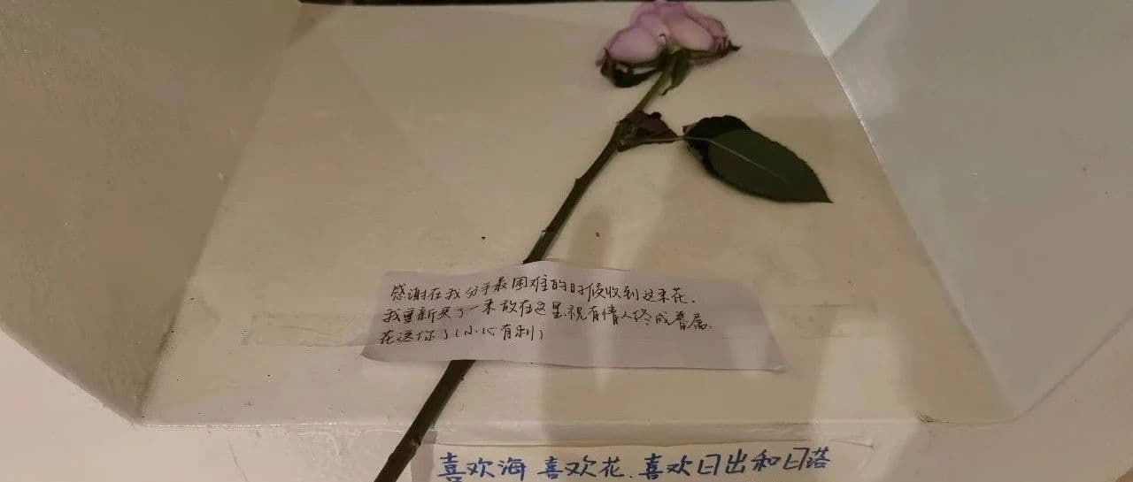 美好会如约而至的